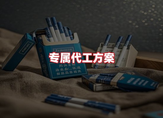 专业团队